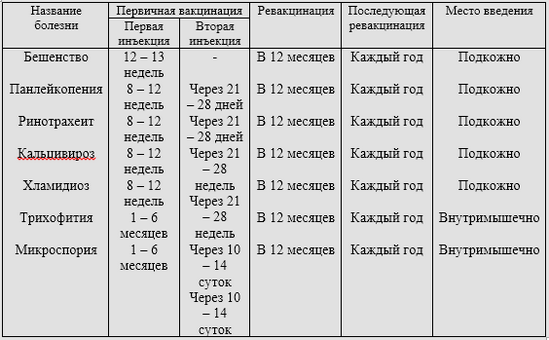 План прививок для котят