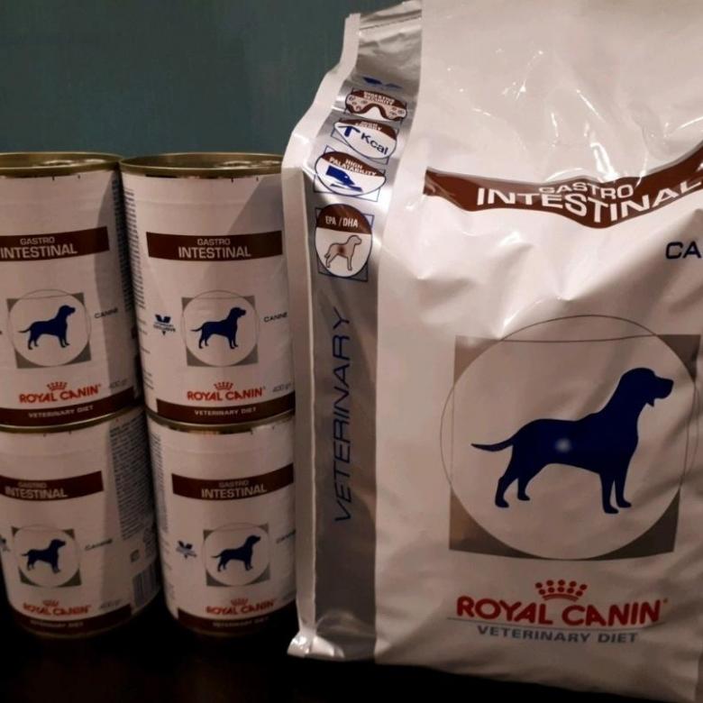 Royal canin (роял канин): обзор корма для кошек, состав, отзывы