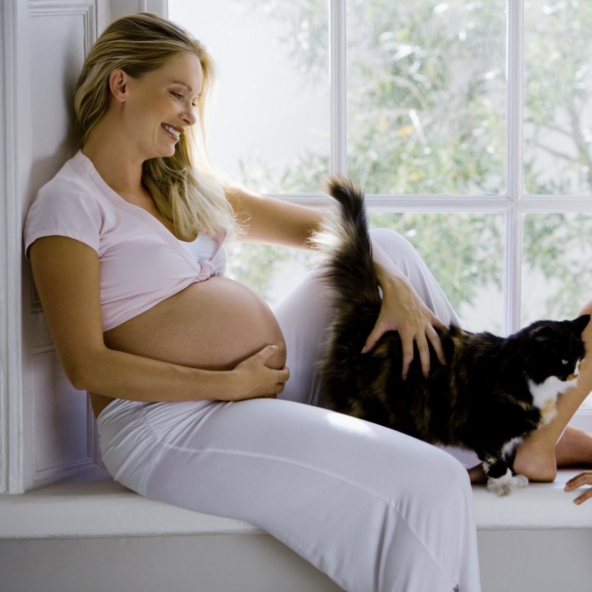 Угроза токсоплазмоза при беременности — нужно ли избавляться от кошки? | планирование беременности