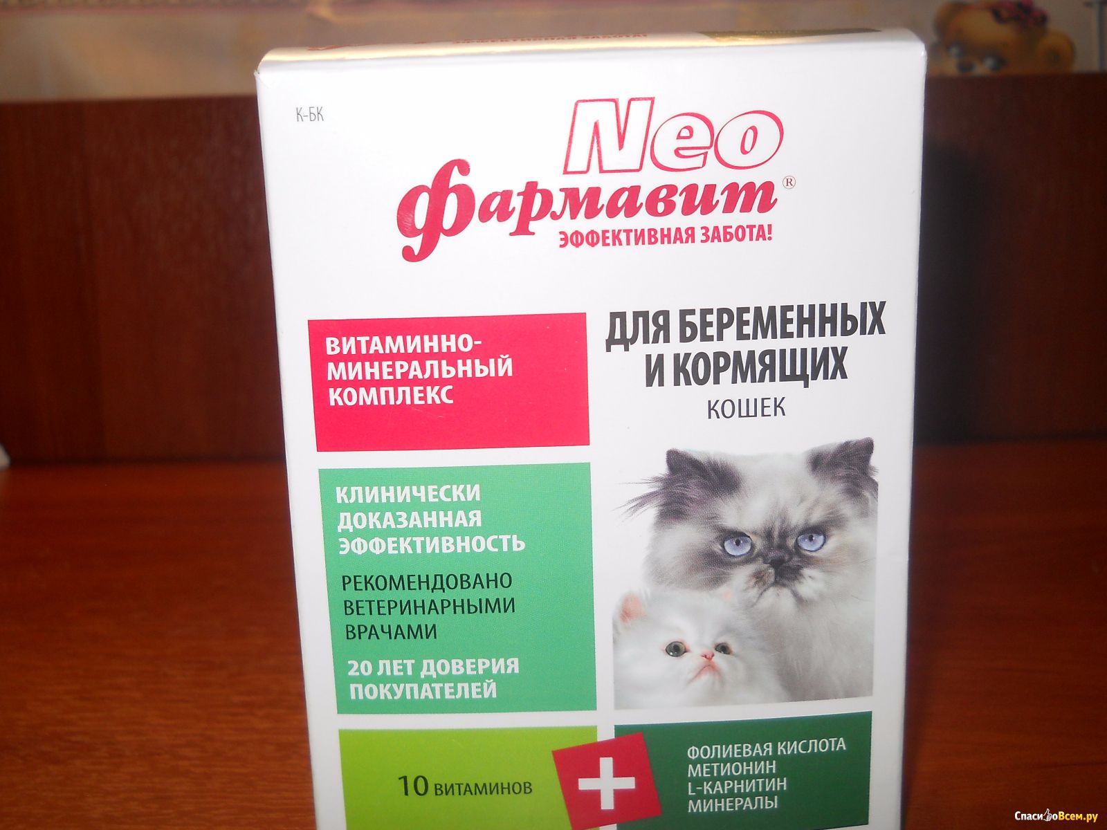 Топ-7 витаминов для беременных и кормящих кошек