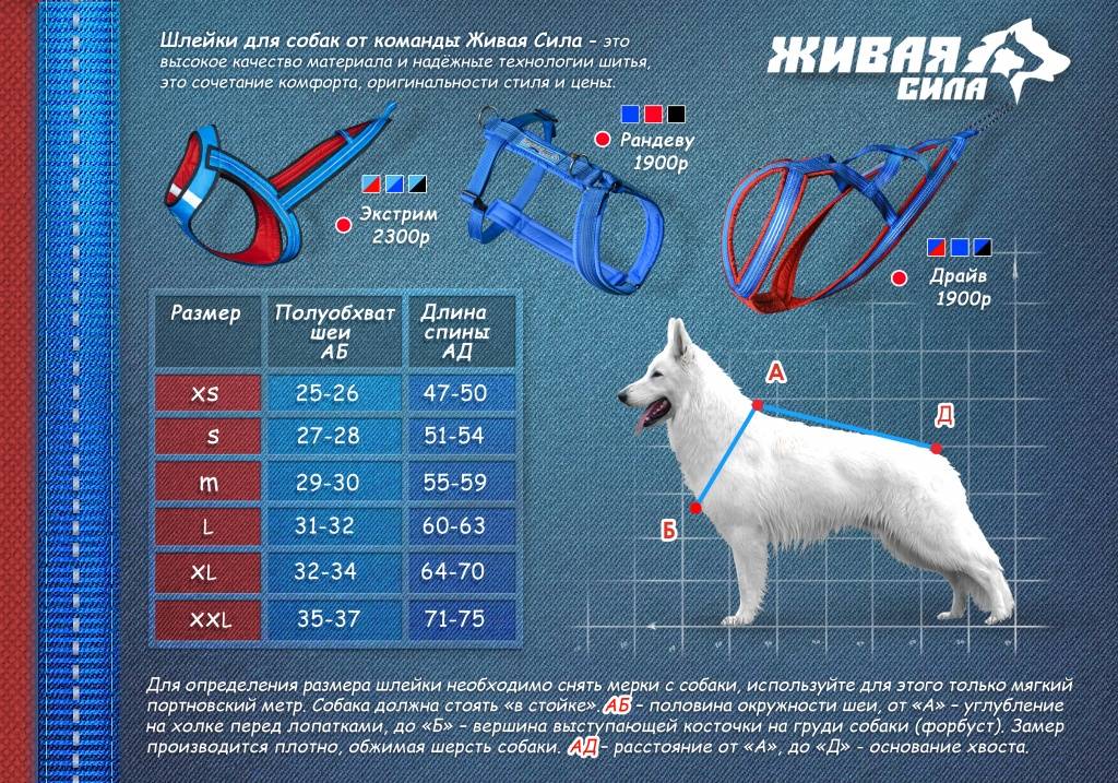 Как одевать шлейку на собаку инструкция в картинках пошагово с фото