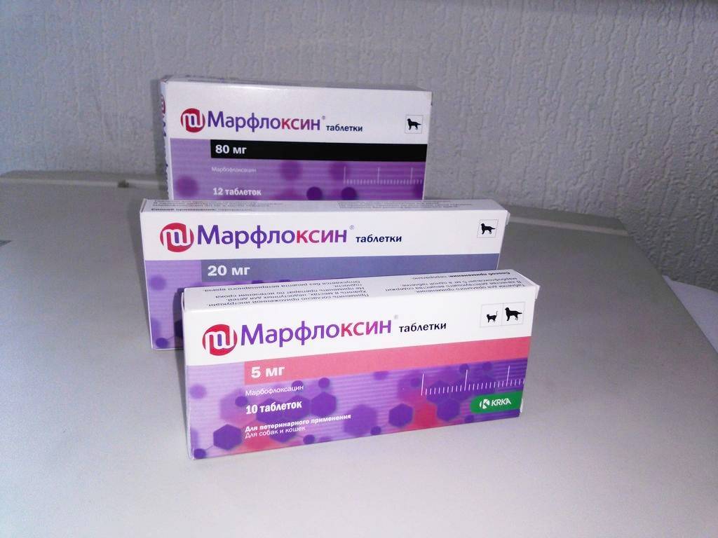 Марфлоксин для кошек, инструкция по применению для таблеток и инъекций - все о породах кошек с описанием, фотографиями и названиями.все о породах кошек с описанием, фотографиями и названиями.