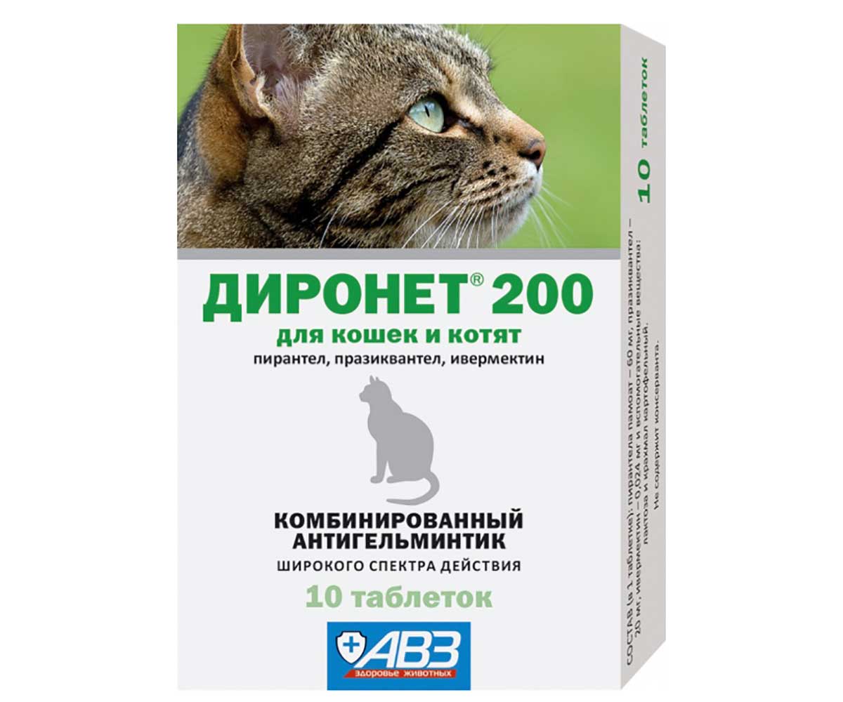 10 лучших глистогонных средств для собак и кошек