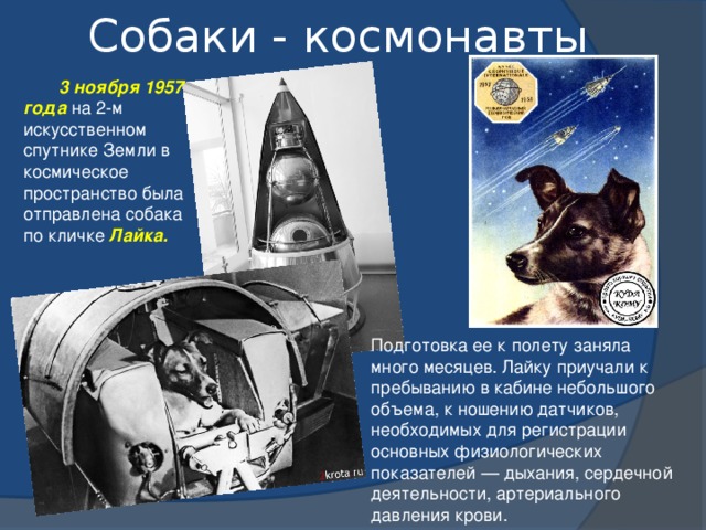 Животные, побывавшие в космосе