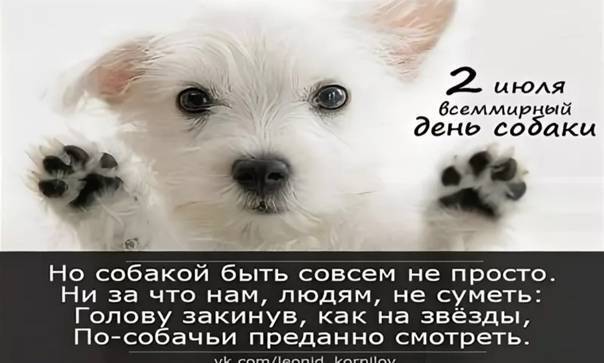Всемирный день домашних животных в 2021 году: какого числа, дата и история праздника