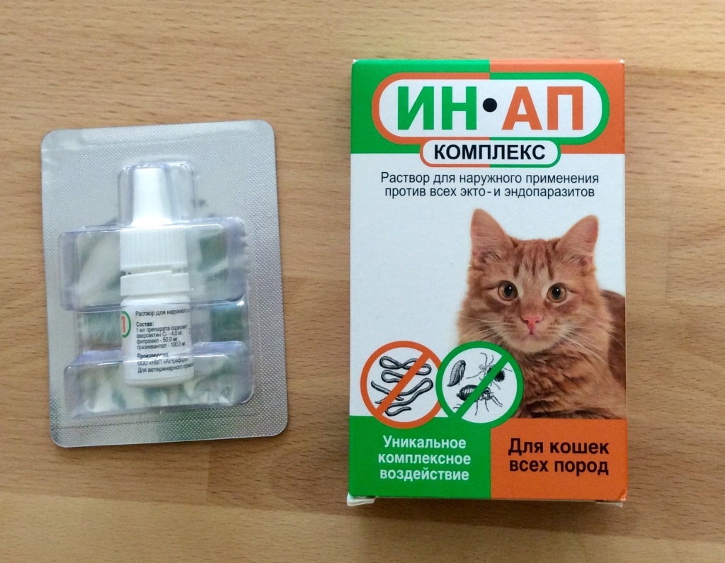 Капли на холку от глистов для кошек: эффективные препараты и их дозировка | звери дома