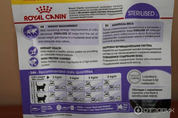 Cухой корм для кошек royal canin