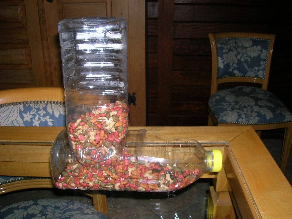 5 способов: как сделать поилку для кроликов своими руками в домашних условиях