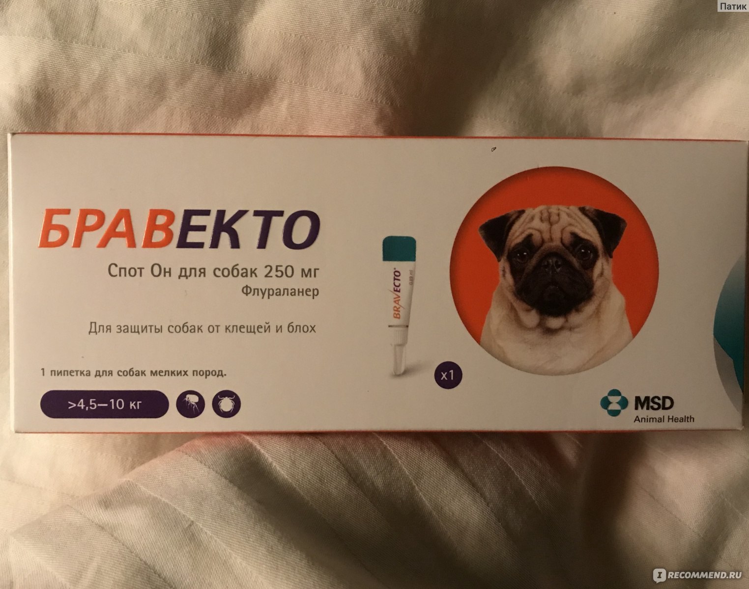 Бравекто для собак: инструкция по применению, капли и таблетки, аналоги