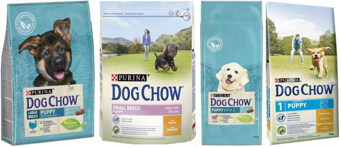 Корм для собак дог чау: виды и состав, отзывы ветеринаров и заводчиков