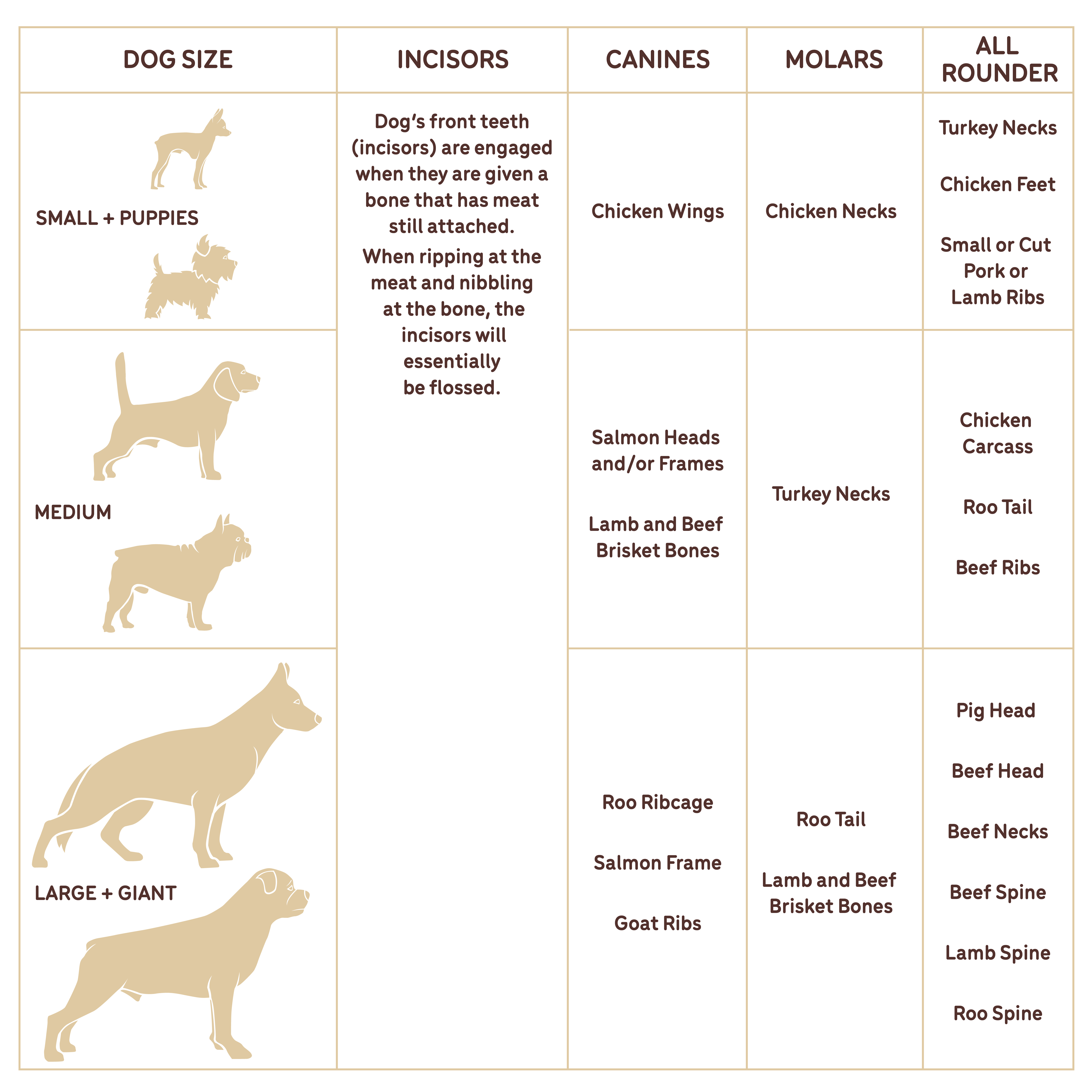 Запор у собаки от костей: симптомы, диагностика, лечение