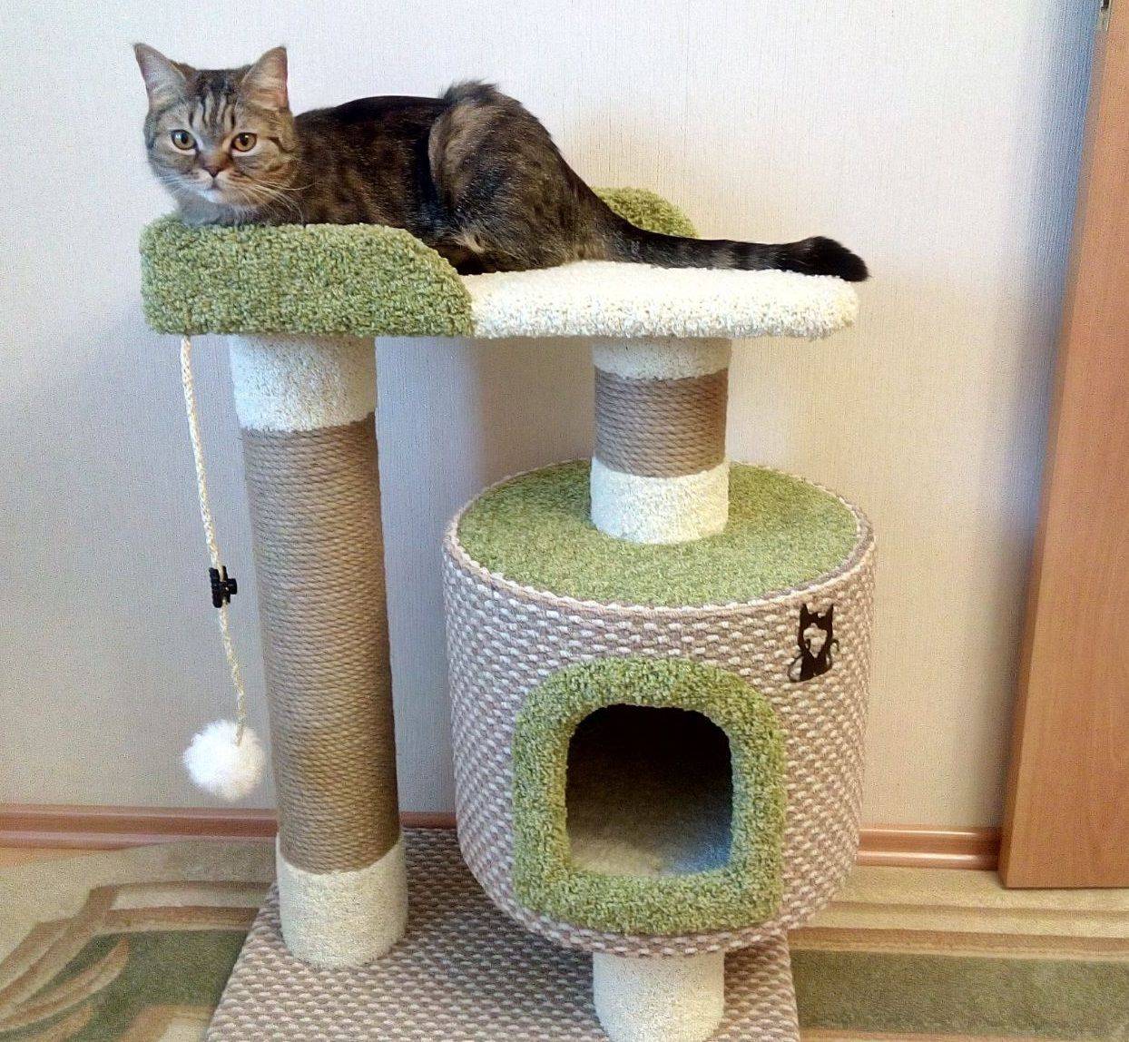 Как сделать домик для кошки из коробки своими руками: пошаговая инструкция с фото - animallist.ru