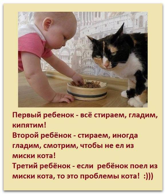 Почему кошка закапывает миску с едой лапой