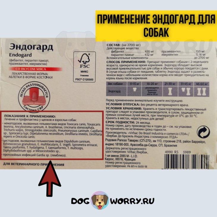 Лучшие средства от глистов для собак