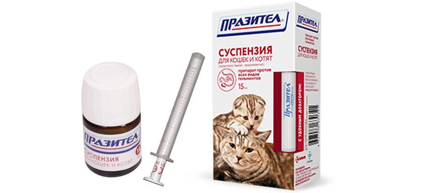 Таблетки и другие средства от глистов для кошек