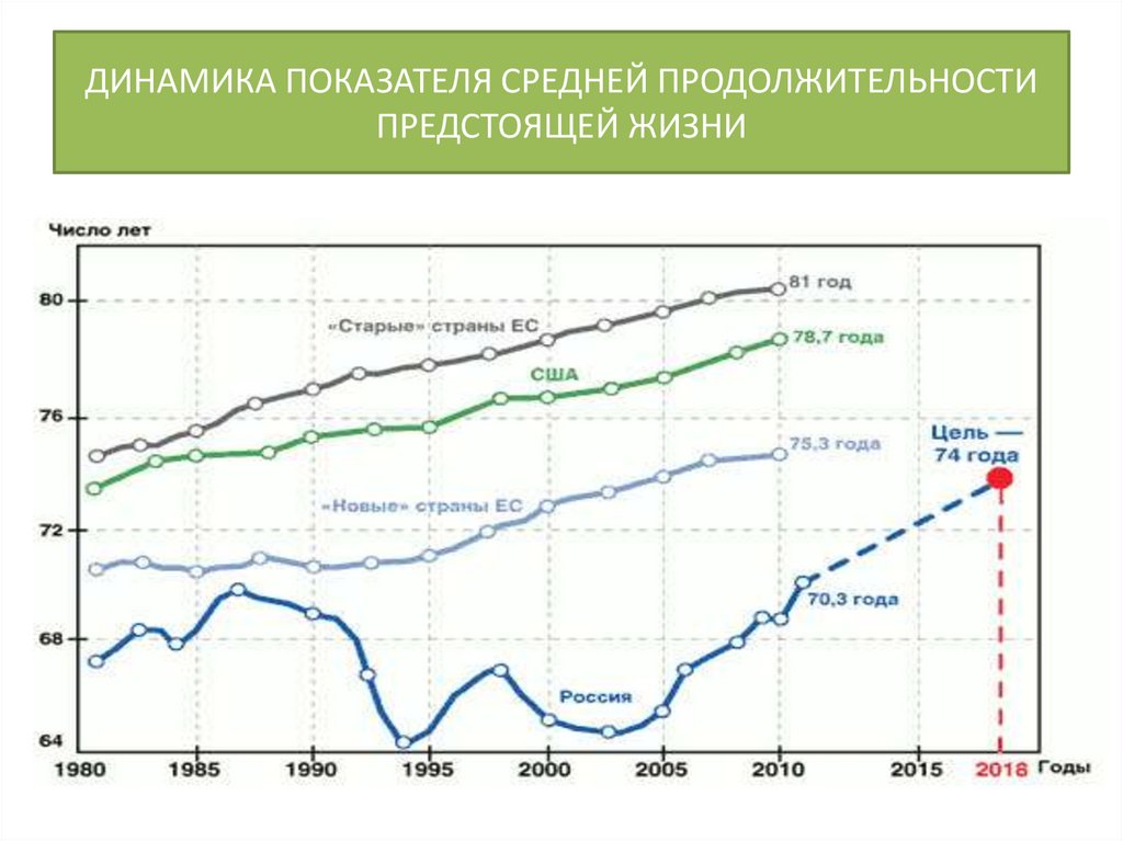 Лабрадор ретривер: характер, стандарт, дрессировка и особенности содержания (+ фото)