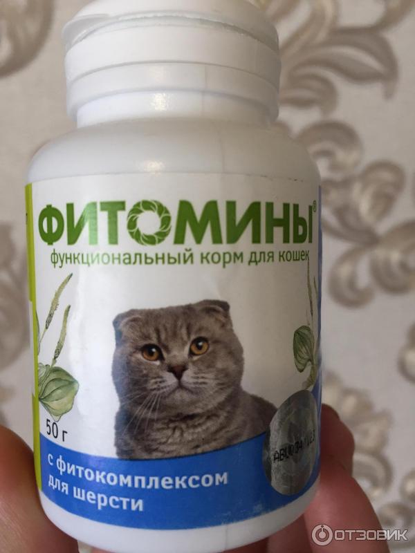 Витамины для кошек от выпадения шерсти: список и обзор лучших