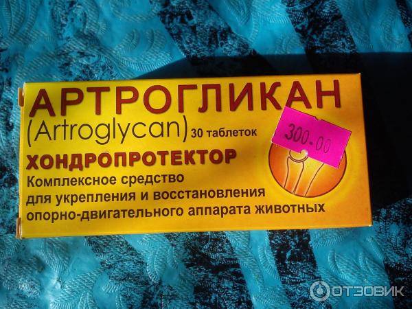 Артрогликан для кошек: инструкция по применению, отзывы