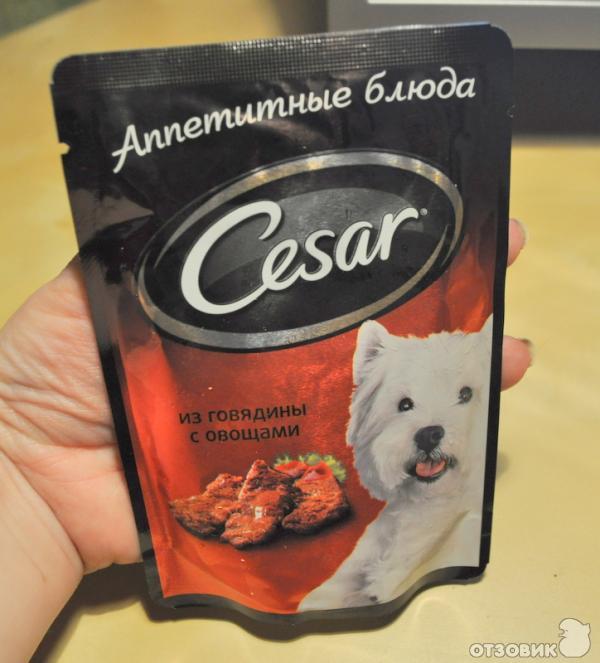 Белая собачка из рекламы корма цезарь порода