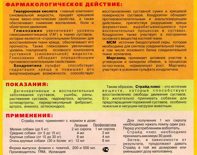 Хондропротекторы для кошек: описание, состав препаратов, показания к применению