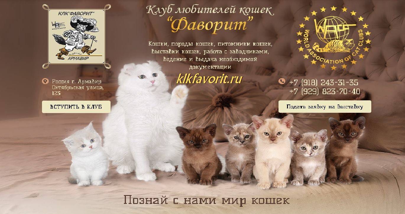 Список популярных собачьих питомников санкт-петербурга на 2023 год