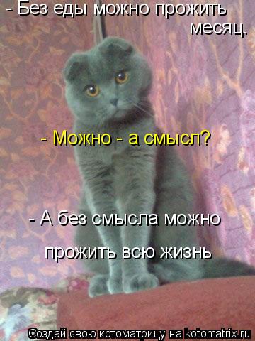 Сколько кот может прожить только на воде. сколько кошка может прожить без воды и еды