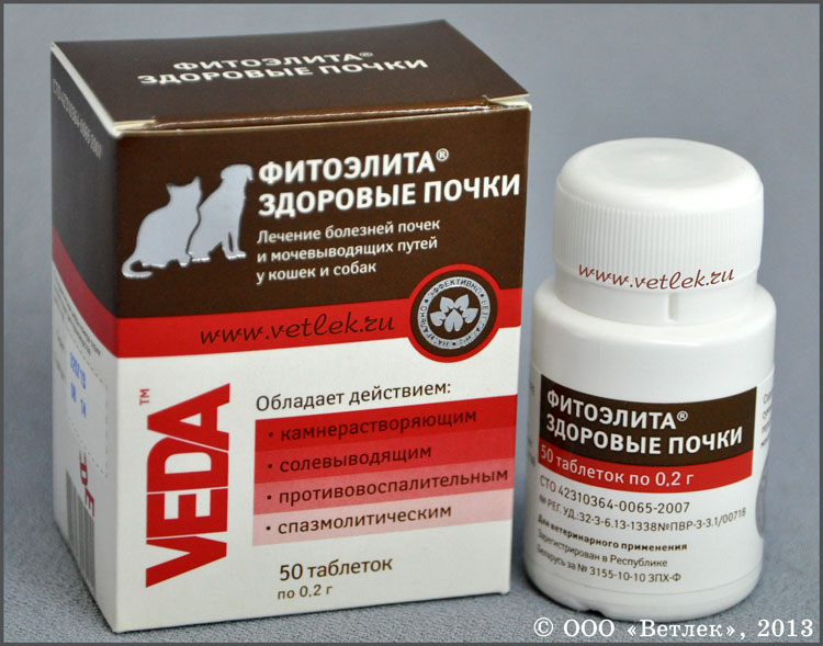 Состав и схема приема таблеток фитоэлита здоровые почки для кошек