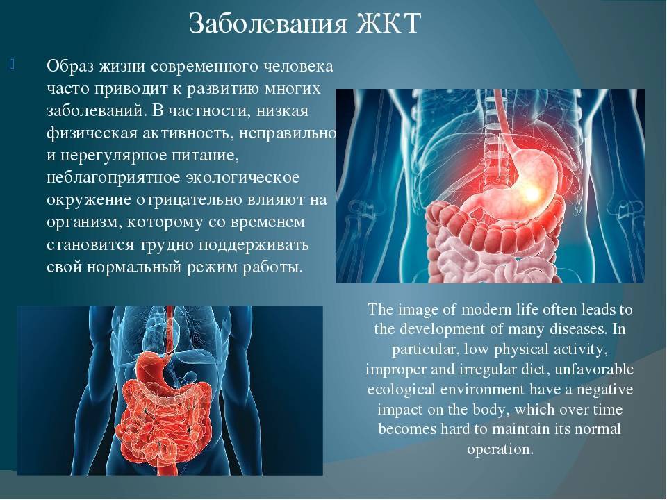 Профилактика заболеваний жкт презентация