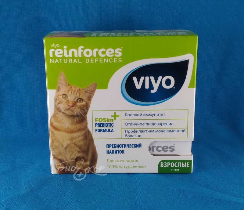 Пробиотики для кошек: список самых популярных марок | звери дома