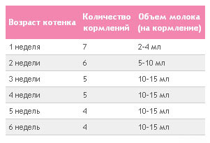 Как часто должен быть стул у взрослых людей