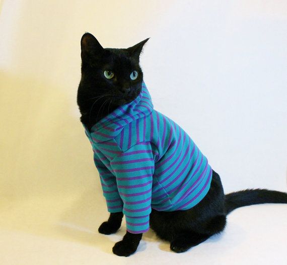 ᐉ как сделать одежду для кота, платье для кошки - zoomanji.ru