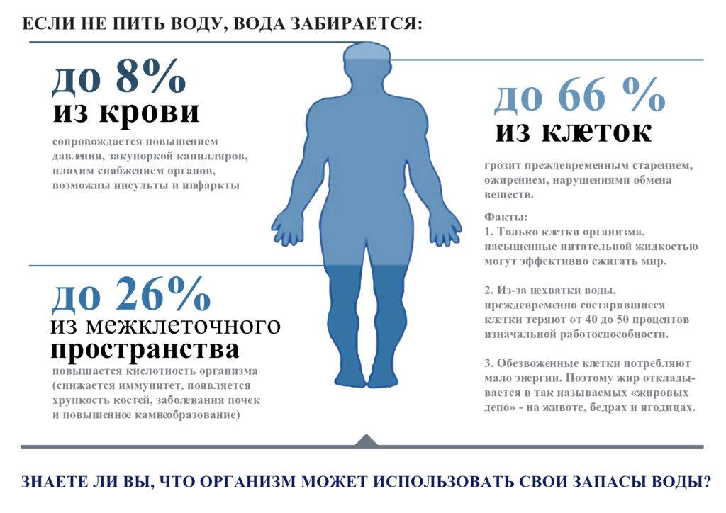 Сколько кошка должна пить в день