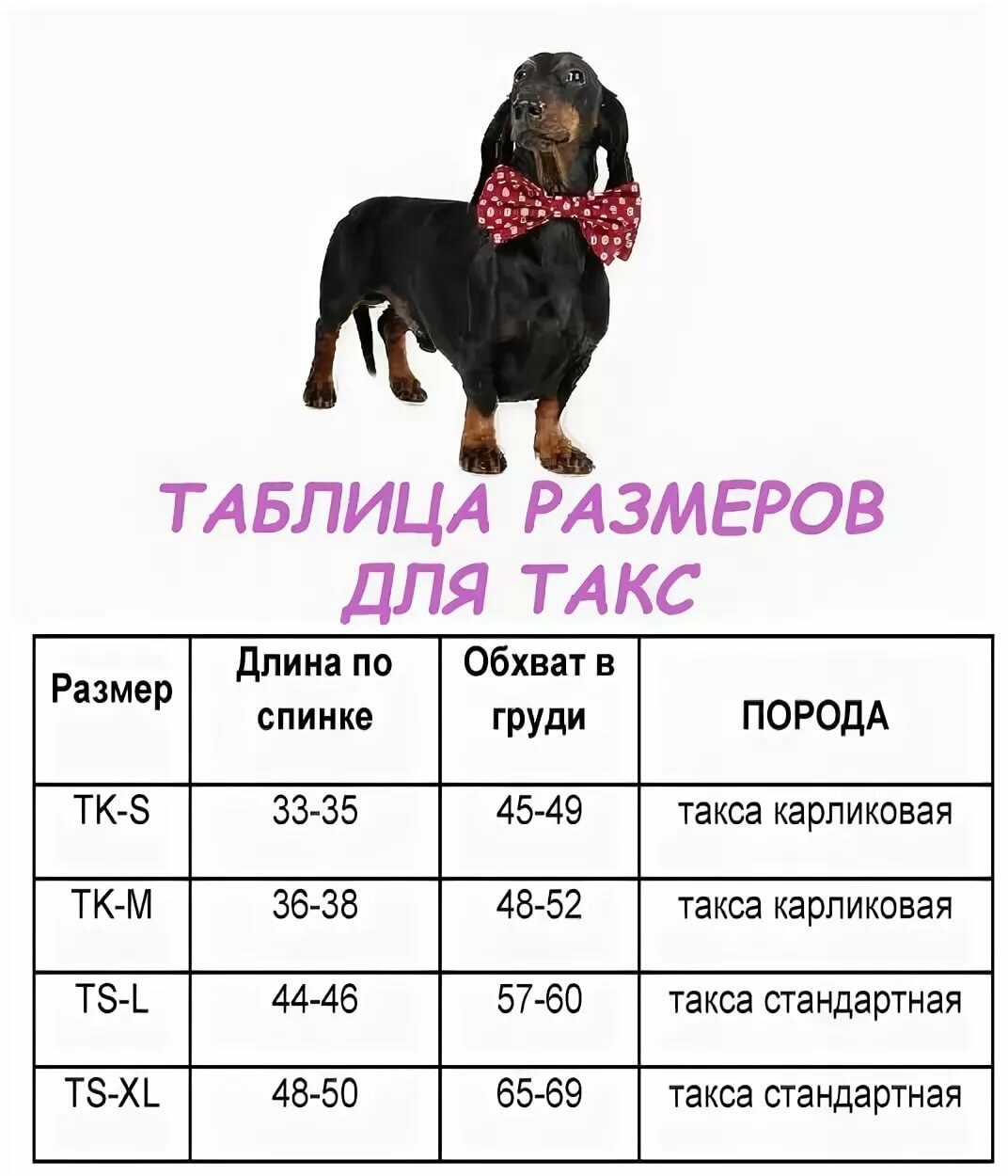 Средние стандарты продолжительности жизни собак породы той терьер дома