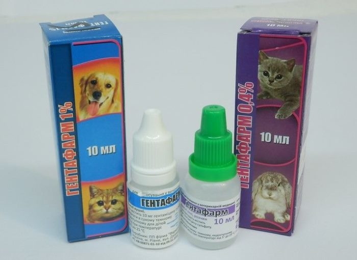Глазные капли для кошек – 5 лучших видов при гное, инфекции и конъюнктивите