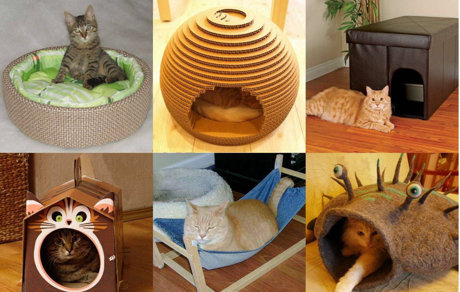 Домик для кошки своими руками: 59 фото и подробного описания лучших вариантов