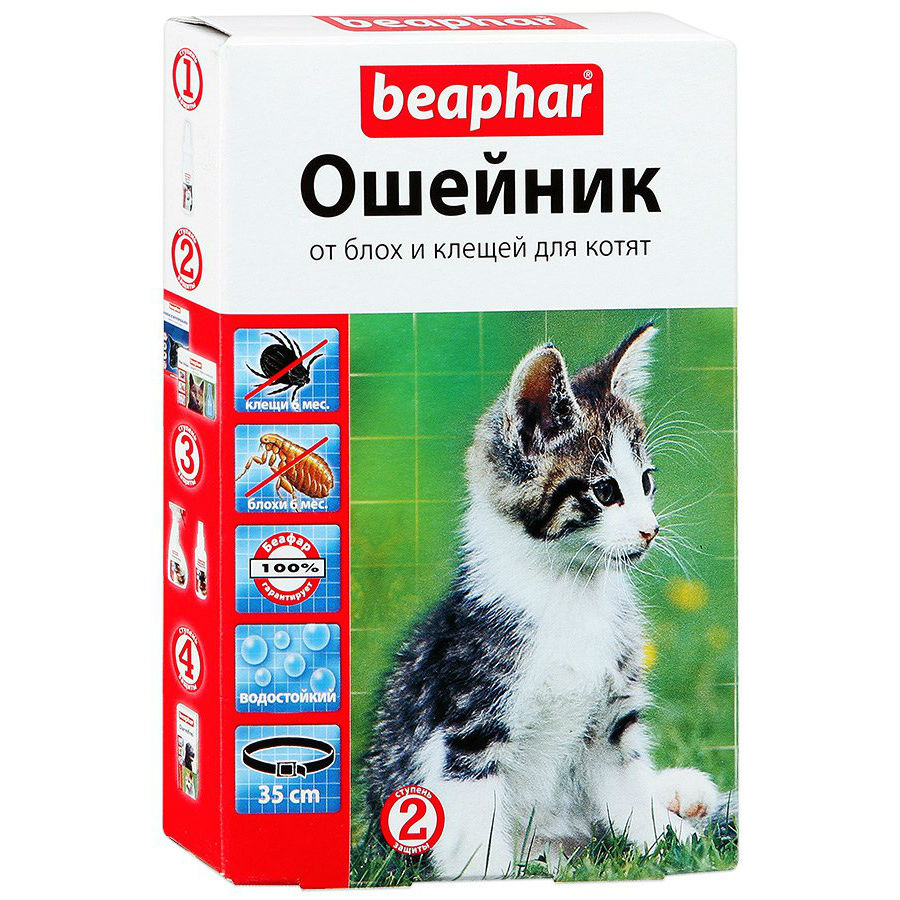 Ошейник от блох для кошек и котят
