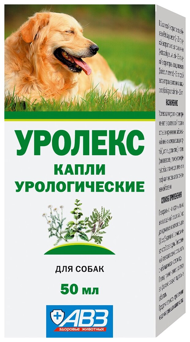 Уролекс для собак – от цистита помогут травы
