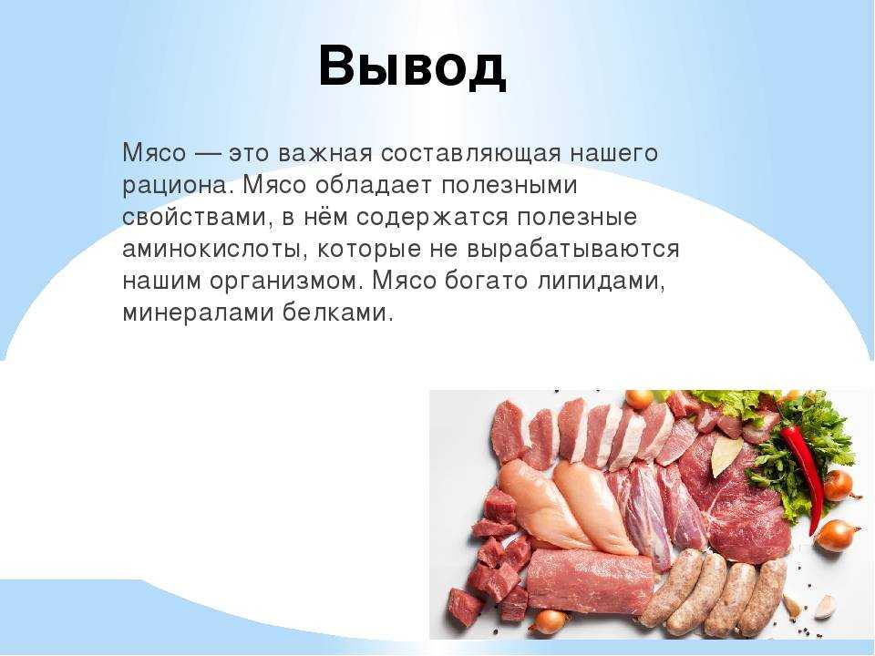Что можно рассказать о гастрономической ценности и пользе мяса кролика. как правильно его выбирать и есть ли вред в мясе кролика - автор екатерина данилова - журнал женское мнение