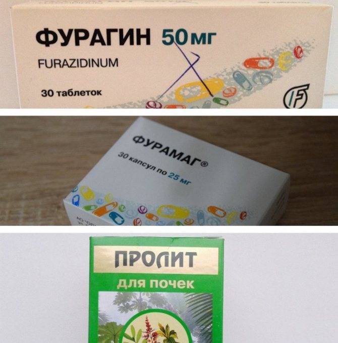 Цистит у кошек: симптомы и лечение в домашних условиях