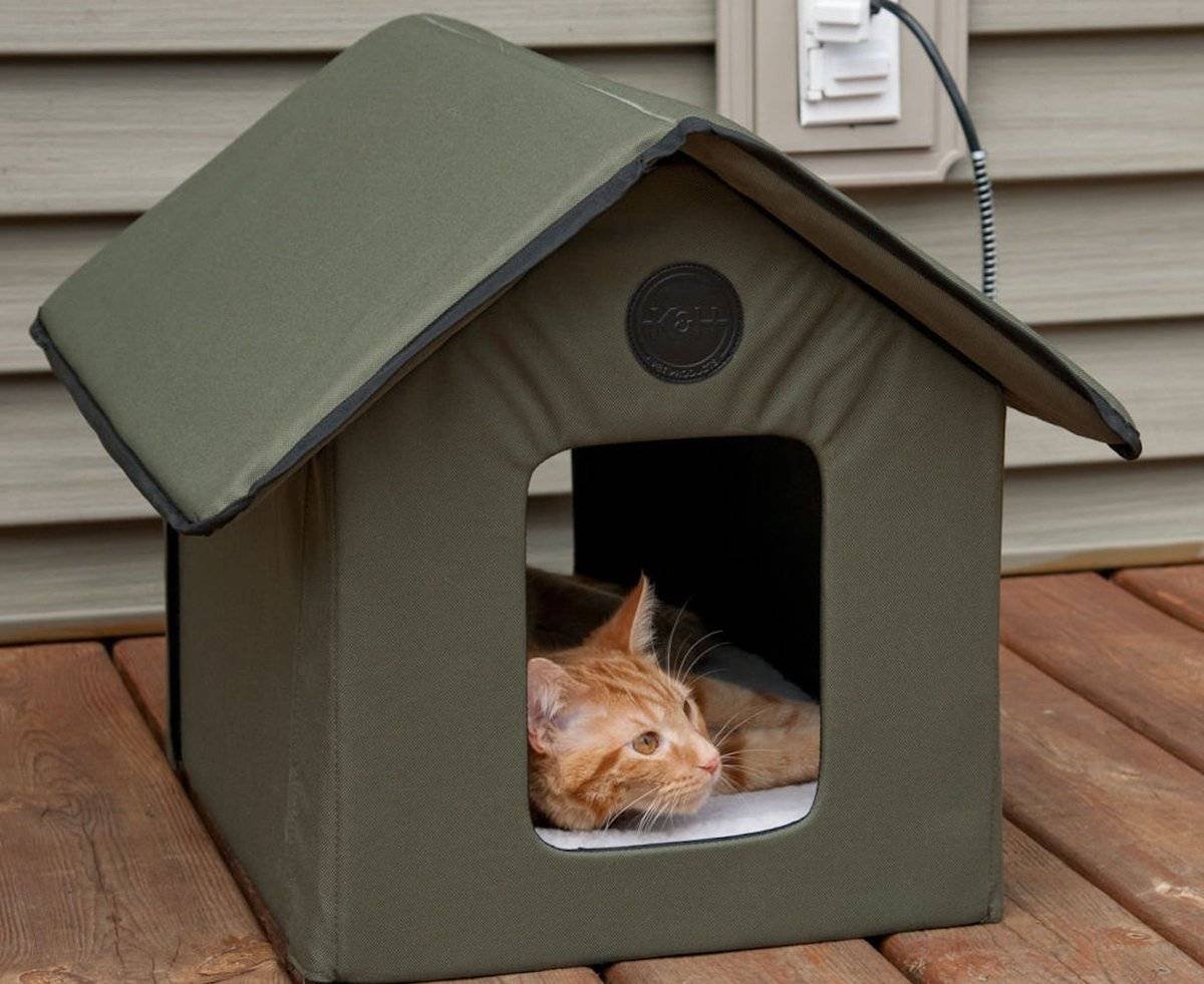 Уличный домик для кошки — как сделать зимнюю будку для кошки своими руками. идеи и инструкции с фото - мир кошек