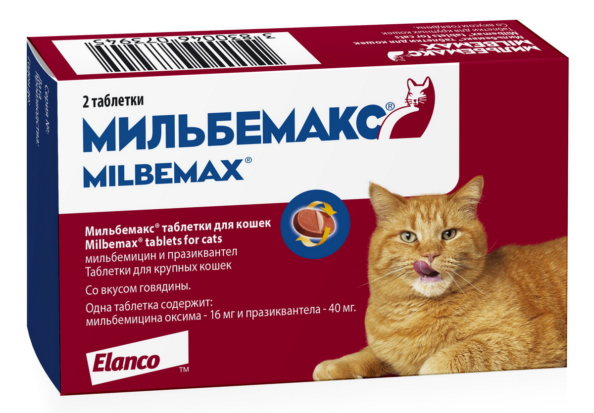 Милпразон или мильбемакс для кошек что лучше