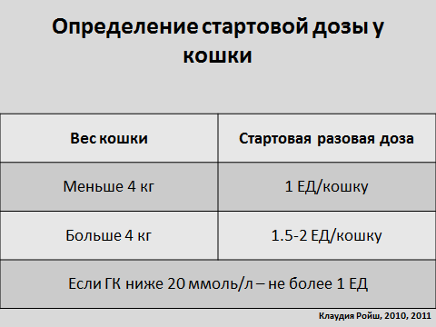 Сахарный диабет у кошек: симптомы, лечение, причины, диета, корм - zoosecrets