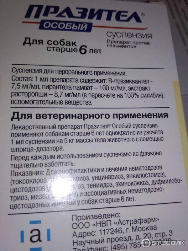 Способ применения таблеток и суспензии празител для кошки и котенка