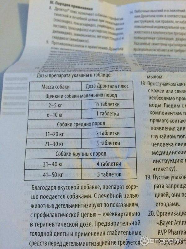 Топ 11 лекарств от глистов кошке