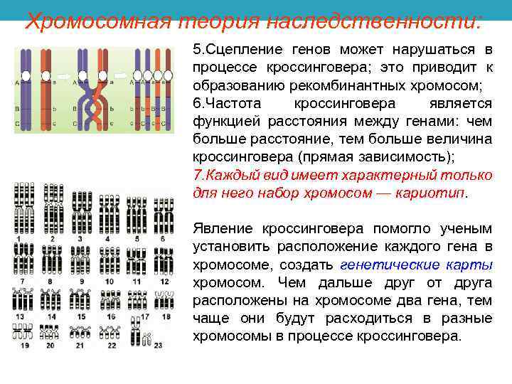 Синдром марфана: причины, симптомы, диагностика и лечение заболевания