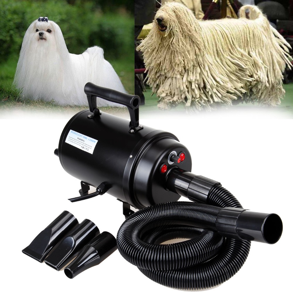 Покупка компрессора для собак на aliexpress: секреты и подводные камни