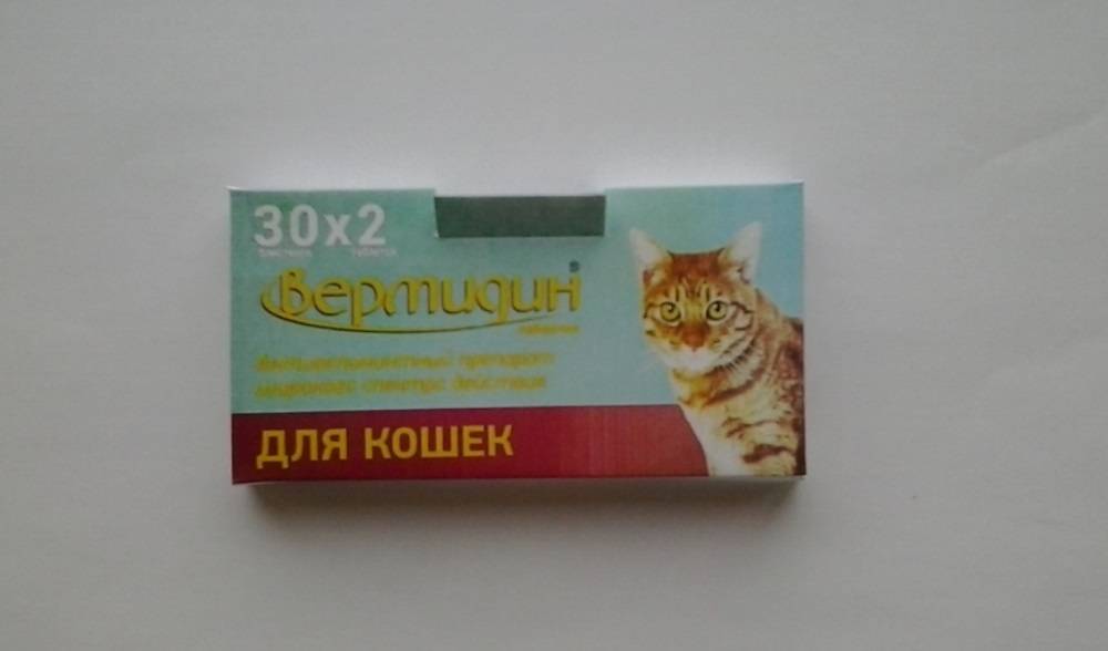 Слабительное для кошек: в домашних условиях, инструкция по применению