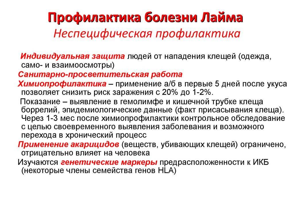 Болезнь лайма (боррелиоз) у собак: симптомы и лечение