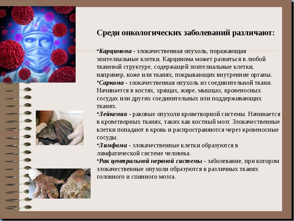 Рак груди у кошек: как помочь питомцу