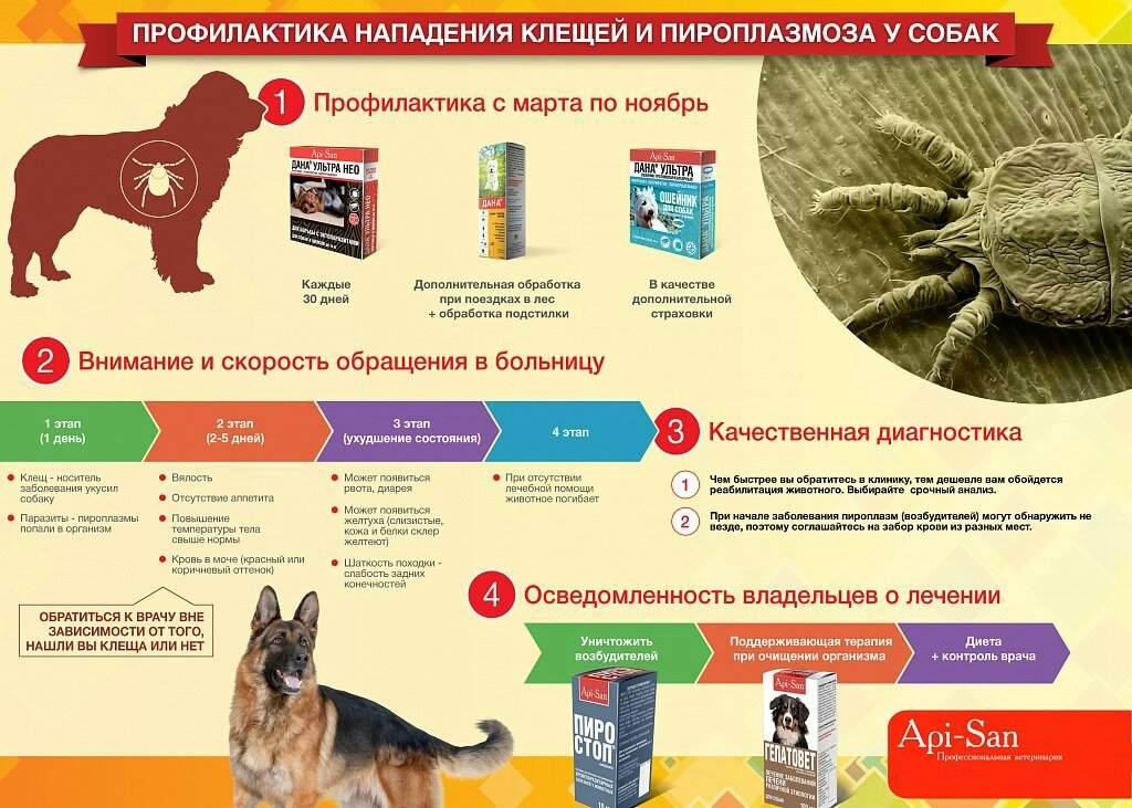 Подагра: симптомы и методы лечения. диета и препараты при подагре.